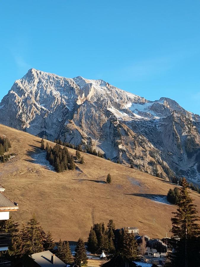 Appartement Au Coeur Des Aravis Manigod Exteriör bild